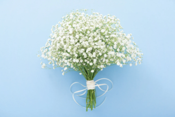 flowers for every occasion