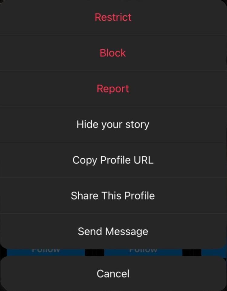 Screenshot Reporting an account on Instagram Three Dots Menu