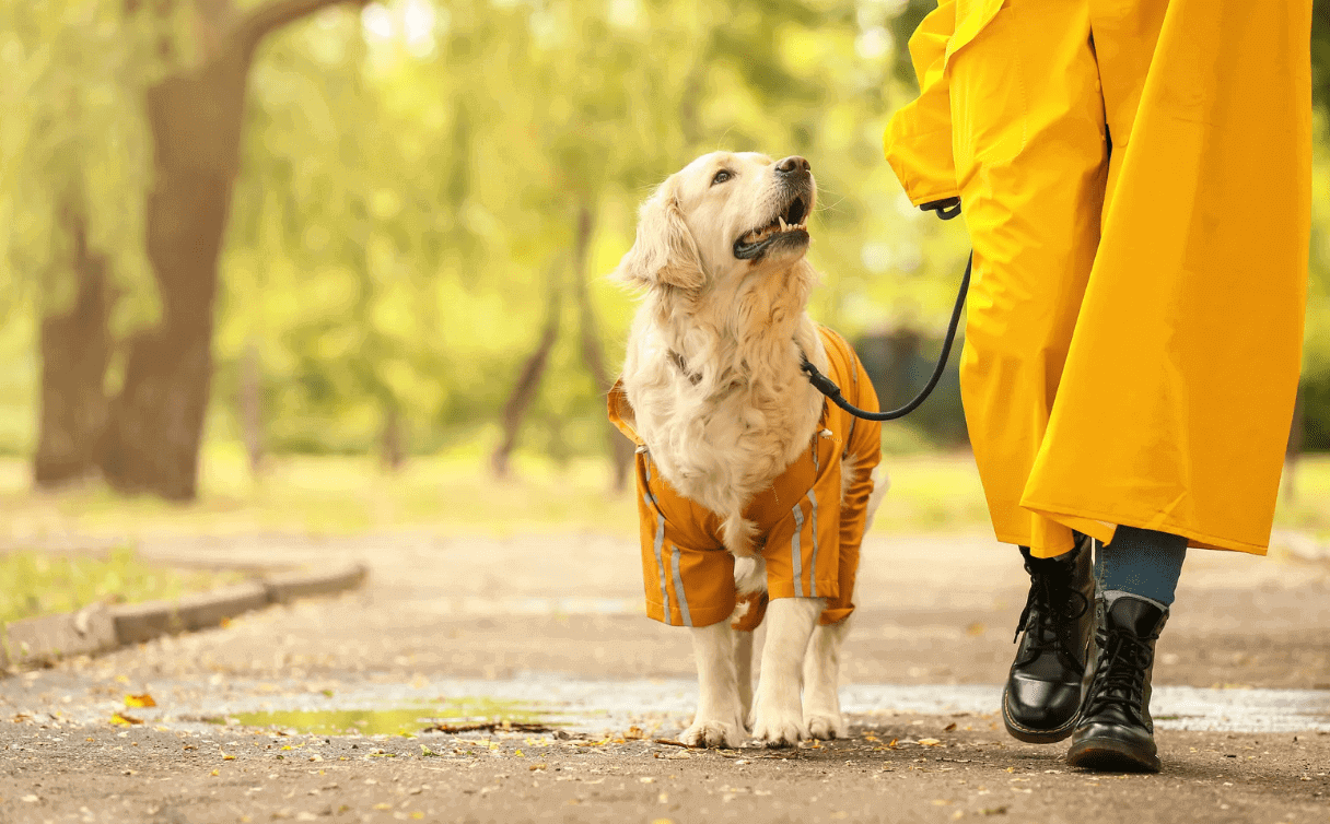 Matching Cute Outfits